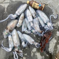 雨が降ってくるまでイカ