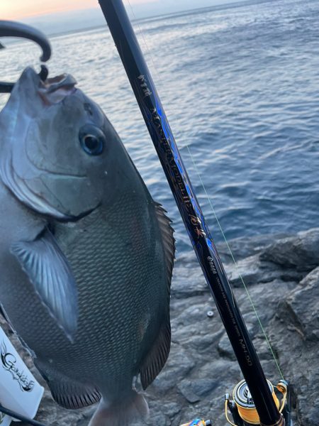 米水津の尾長を狙って❗&#x…