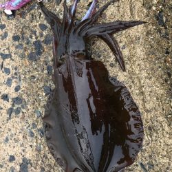 ランガン楽し♪