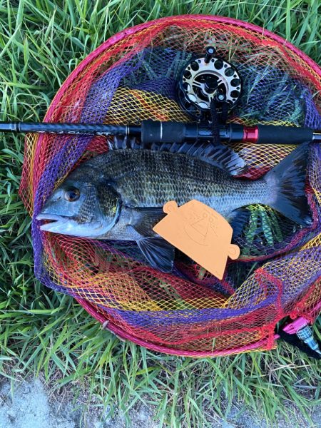 ヘチってきました