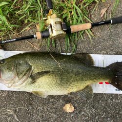 ラバージグで50up