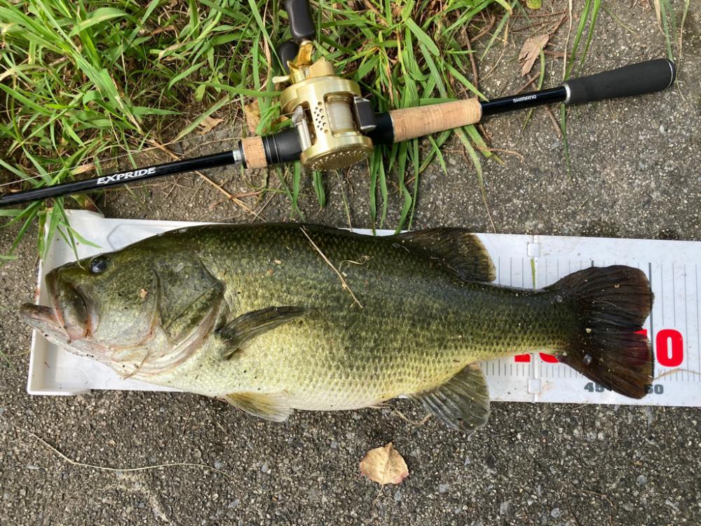 ラバージグで50up