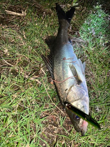 ブローウィン125ジャーク