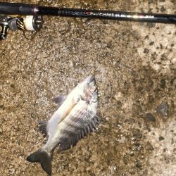 干潮からのスタート