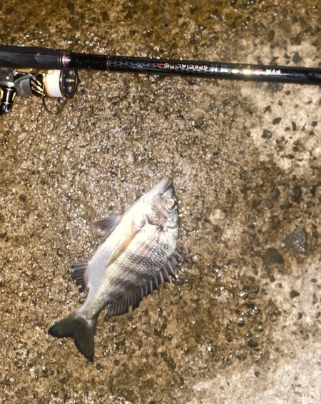 干潮からのスタート