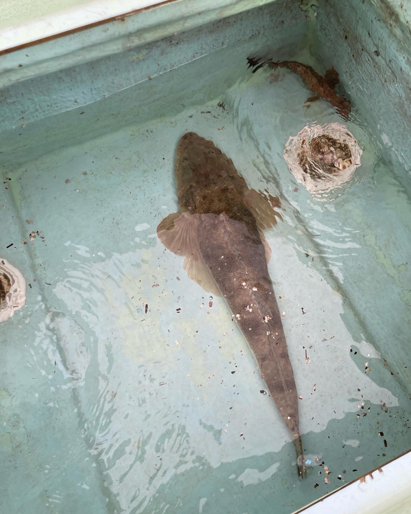 レンタルボートにて