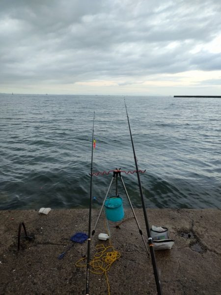 深日白灯台で飲ませにアイブリ30cm、シオ35cm