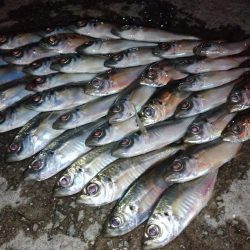 爆風入れ食い😆