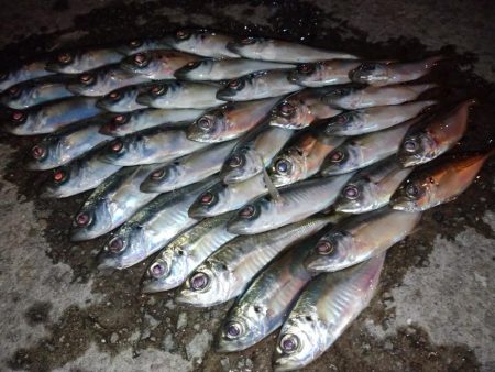 爆風入れ食い😆