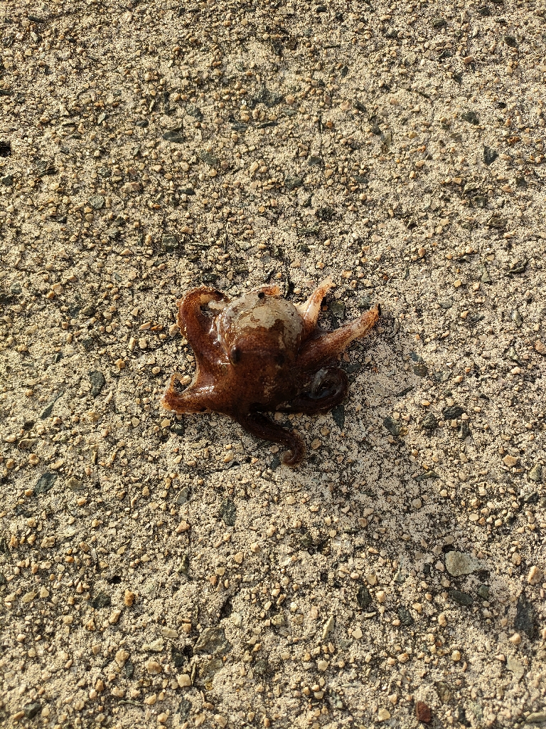 リベンジ遠征釣行(2日目)