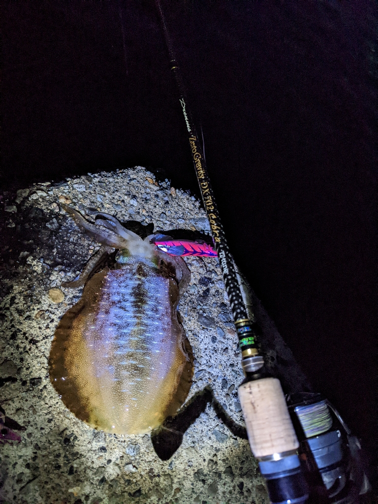 だんだん賢くなってきた