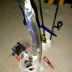 前回とは大違い