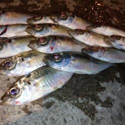 今夜も少しだけ