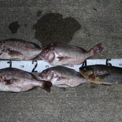 釣堀で小物釣り