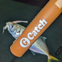 盛りだくさんのアジング？