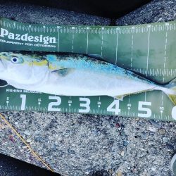 ショアジギ　今年初釣果