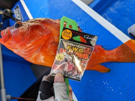 仕掛け自作してみました！