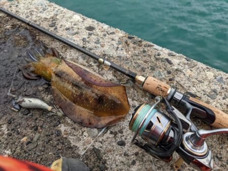 ウネリ爆風ババ濁りで9杯