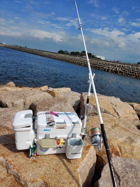 初場所にてキス釣り