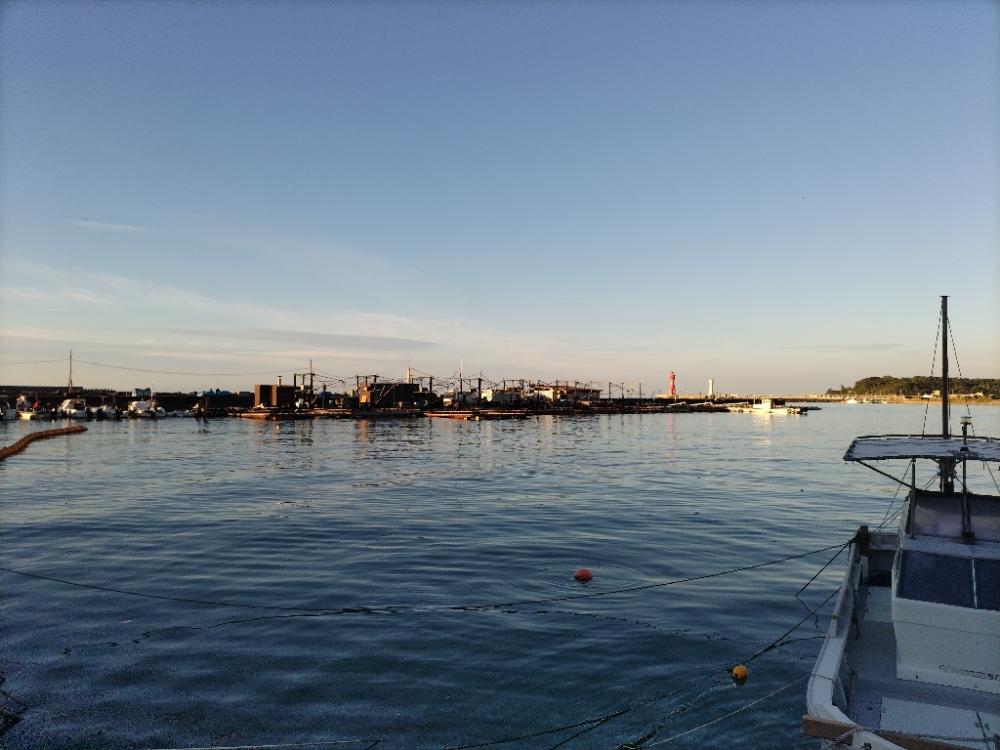 タチウオを求めて