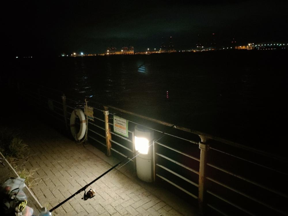 コスモスクエアにてノマセでラインブレイク!!!