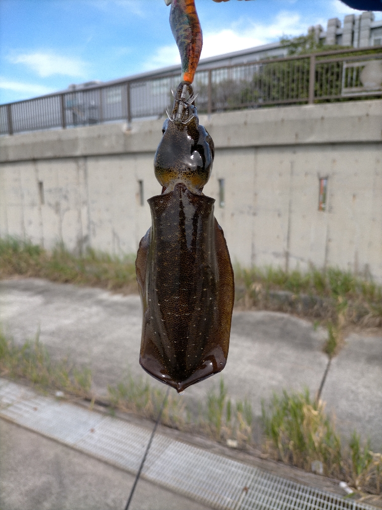 濁りが心配でしたがなんとか8杯