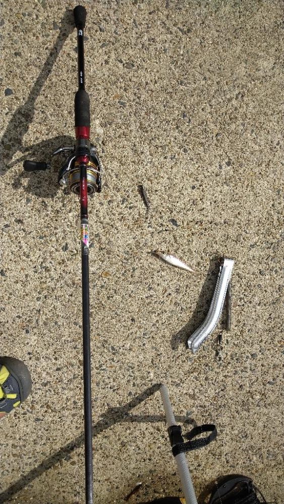 子供とキス釣り