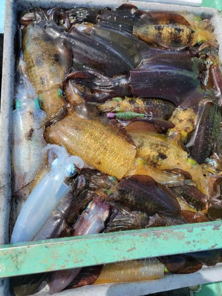 昼練ティップラン