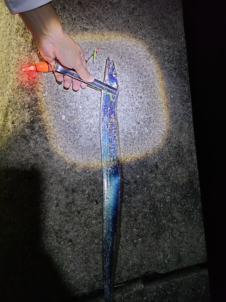 風予報とは裏腹に…