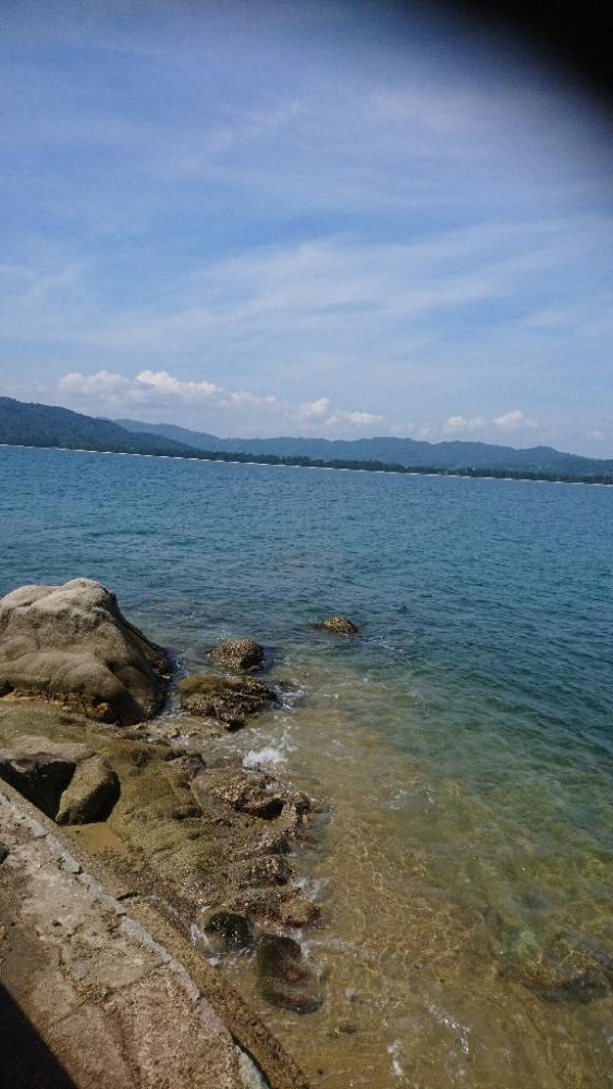 久々エギング、ちびコチ入れ食い
