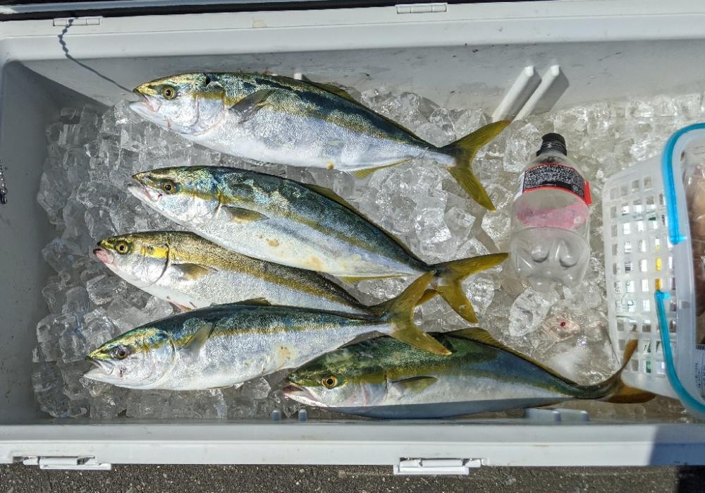 ボートキャスティング