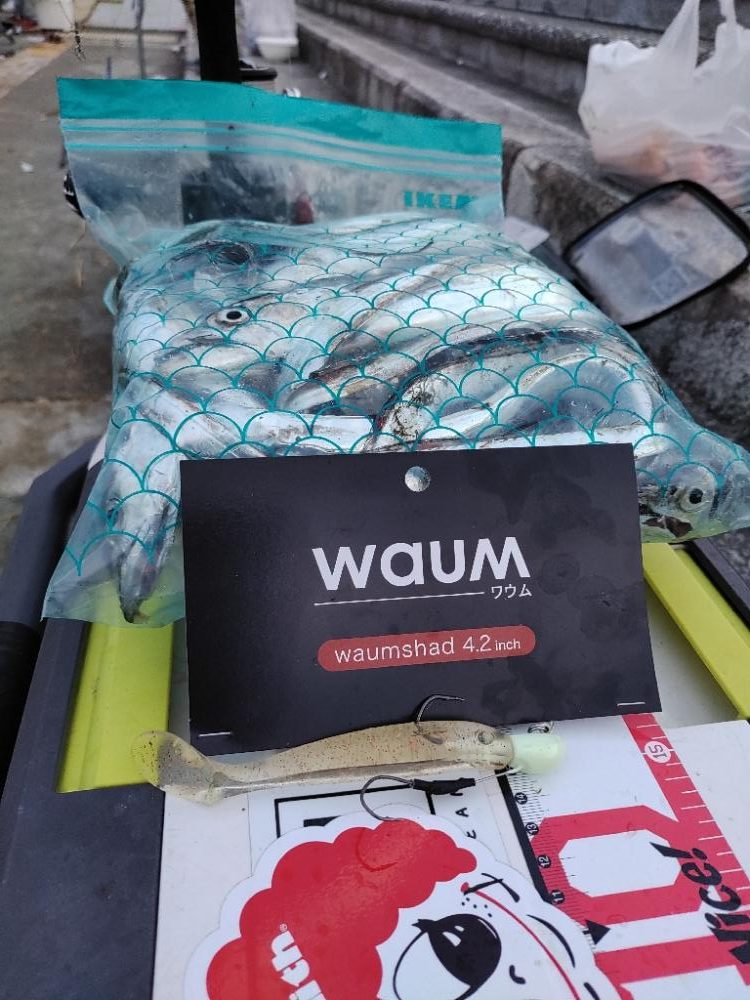 サーベリング@マリーナシティ