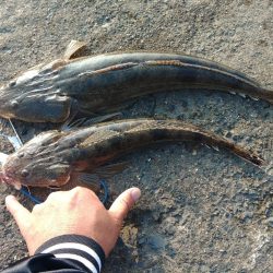 久しぶりに朝練成功♪