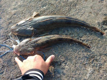 久しぶりに朝練成功♪