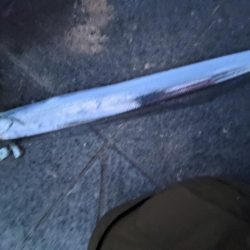 青物狙い不発も日没後、久々のタチウオ！