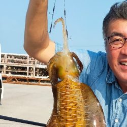 アオリイカ　自己新記録😄