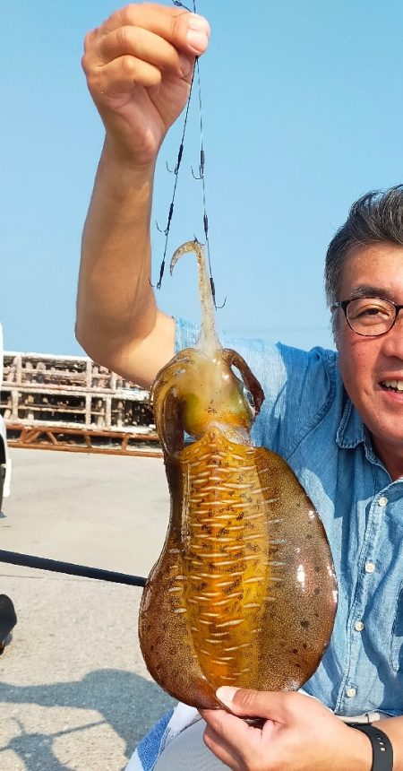 アオリイカ　自己新記録😄