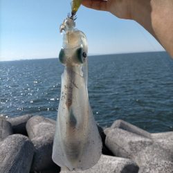 濁ってて渋めでした