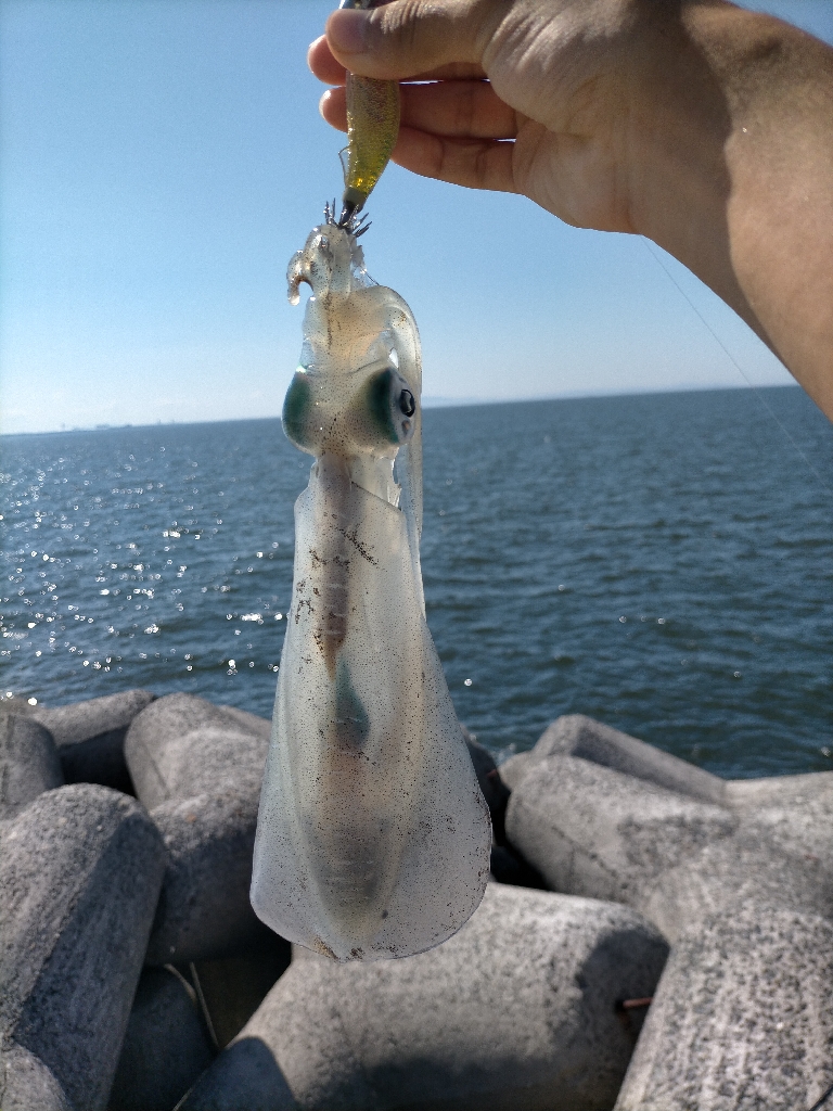 濁ってて渋めでした