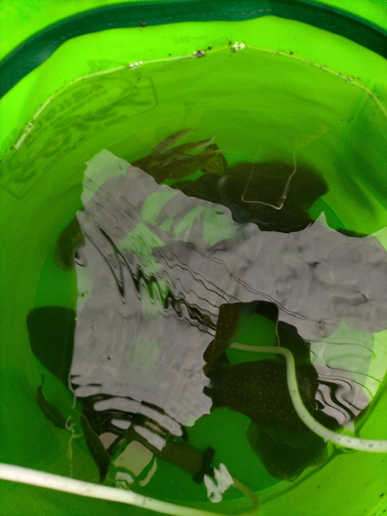 福井県釣行最終日