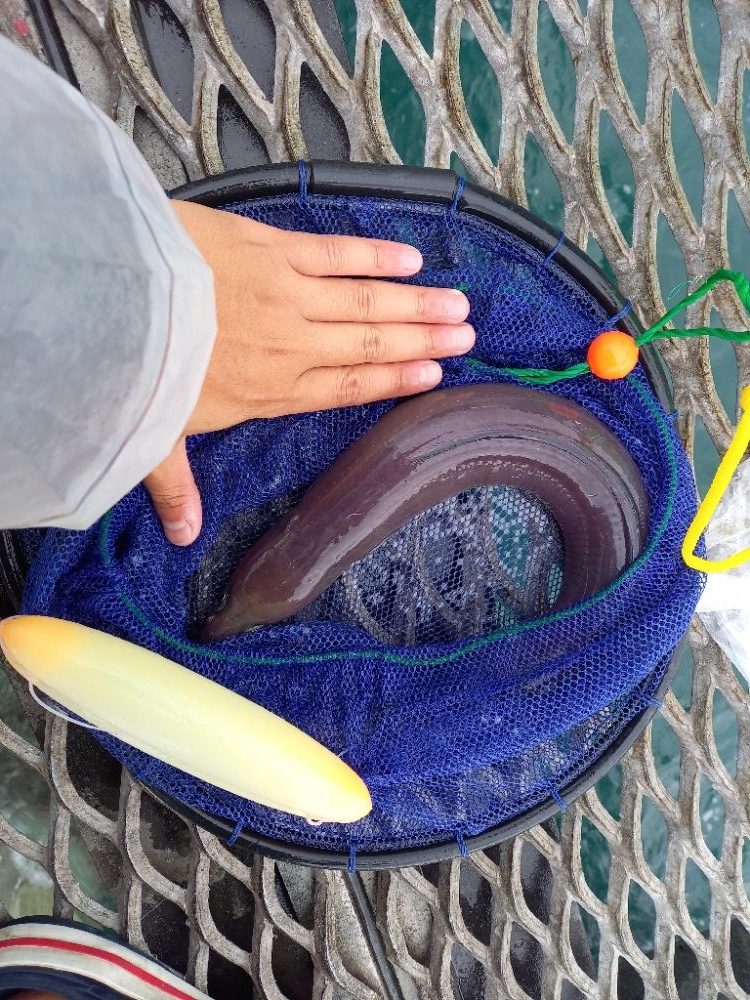 とっとパークで飲ませ釣り