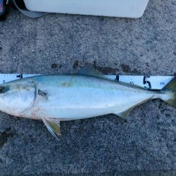 ショアジギング