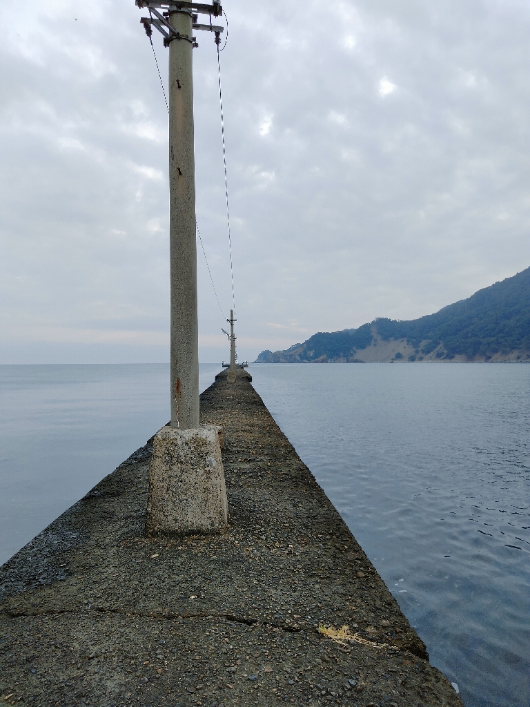 津居山エギング