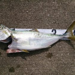 台風前にショアジギ