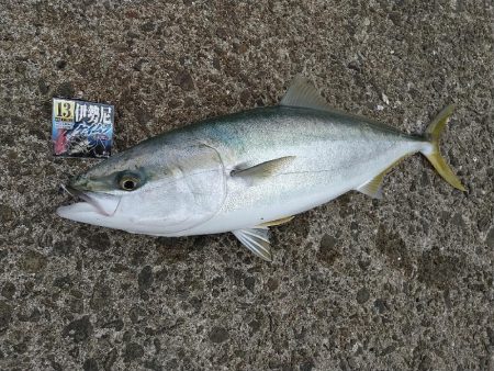 武庫川渡船さんで呑ませ釣り☆