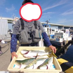 岸和田一文字で初メジロようやくゲット