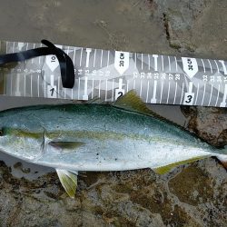 少しずつサイズアップ？