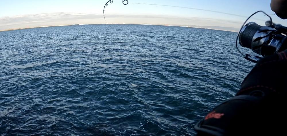 サイズアップならず(>_<)