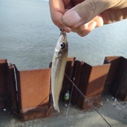 野比海岸で投釣り