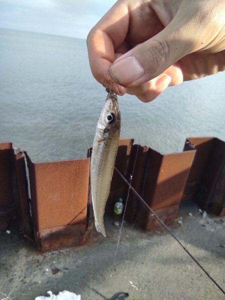 野比海岸で投釣り